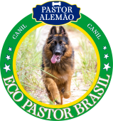 THOR ECOPASTOR BRASIL